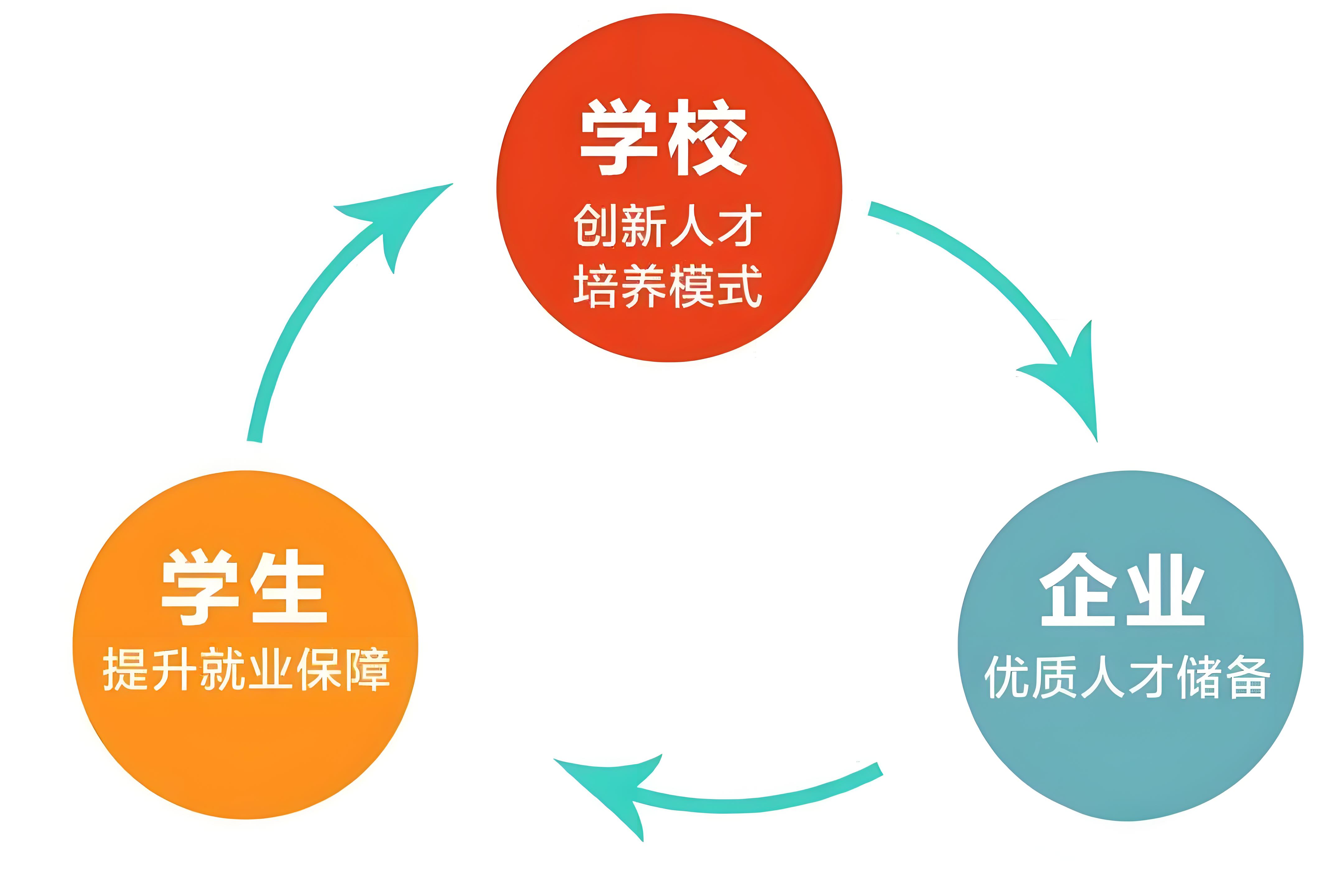 乐鱼体育APP官方下载-关于足校体系全面升级，助力打造未来专业队伍的信息