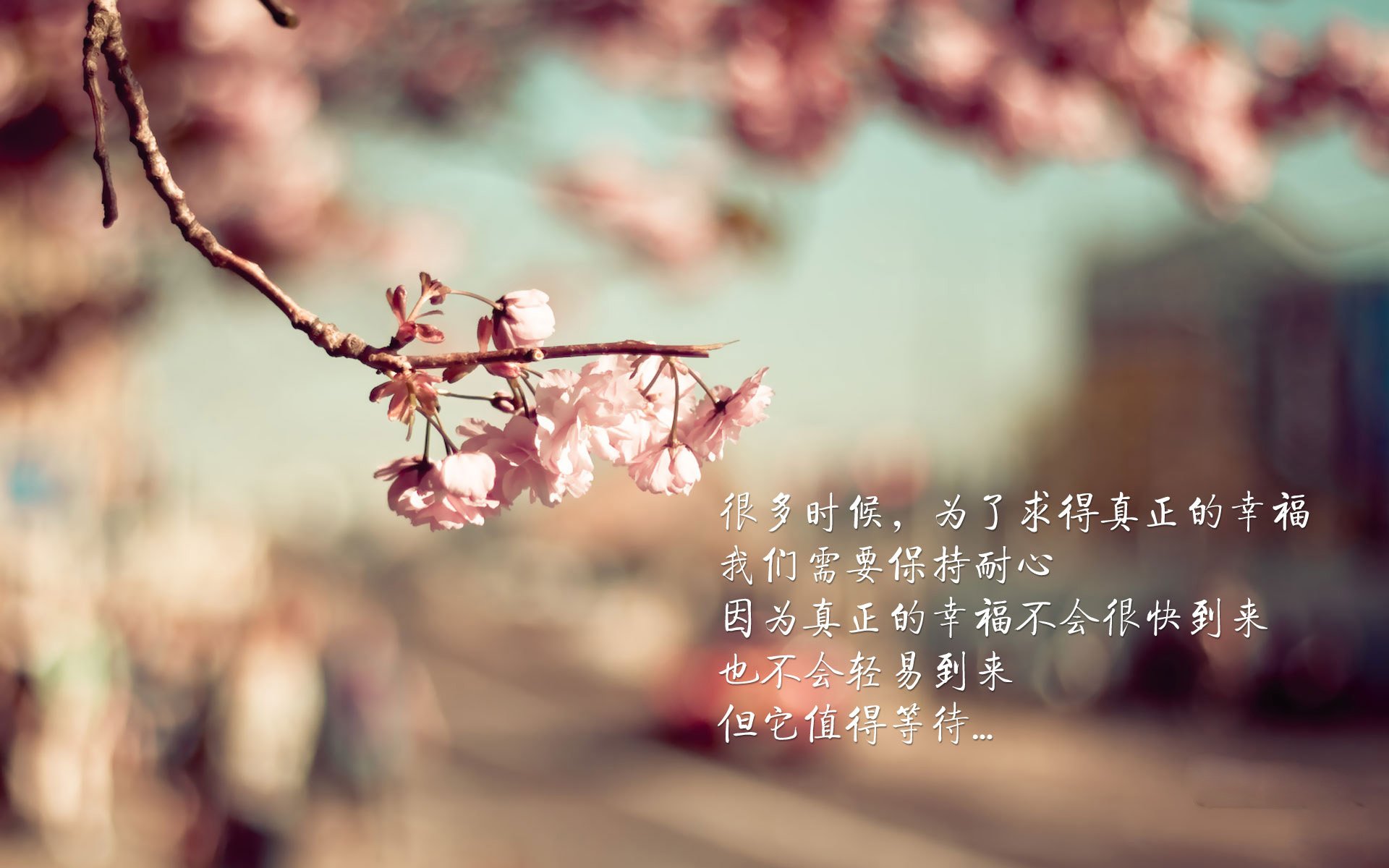 leyu乐鱼-特色篮球文化剧场在全国巡演，提升运动精神传播力，篮球文化艺术节