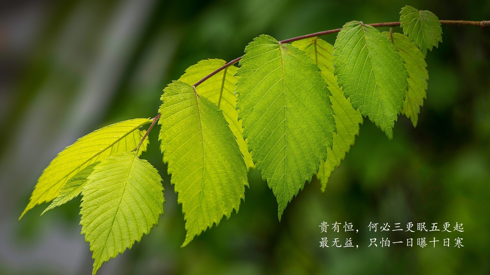 战术精妙：技战术展现，胜负在一念之间，战术的术语