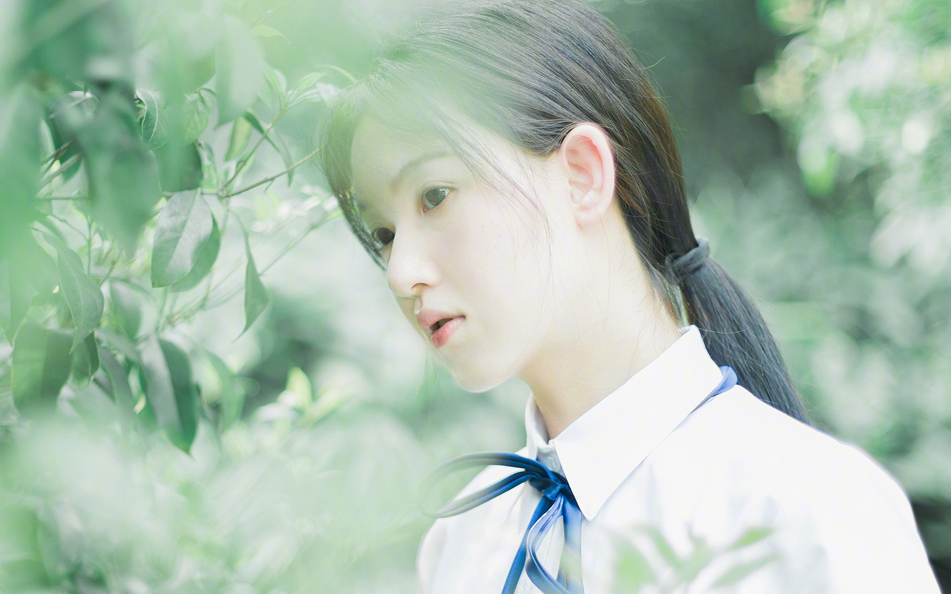 leyu.com-黄蜂队新赛季攻防两端双管齐下，黄蜂队最佳阵容