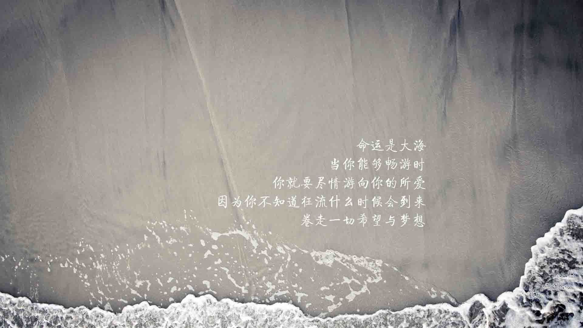 中国篮球联赛市场细分与精准营销研究，全国篮球联赛优势