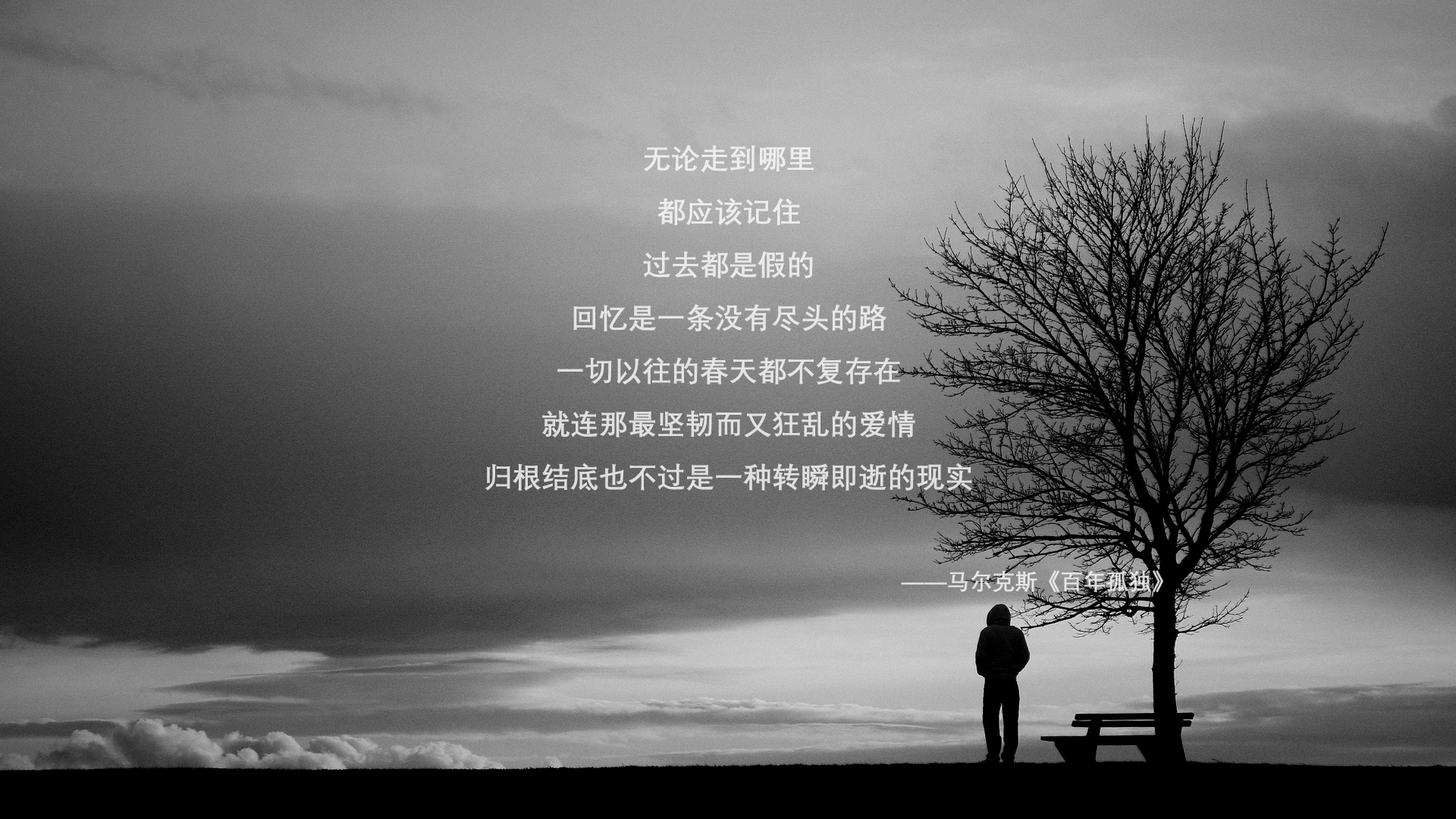 乐鱼体育登录-Chinese Taipei未来发展：在全球舞台上扬帆远航，taipei of china