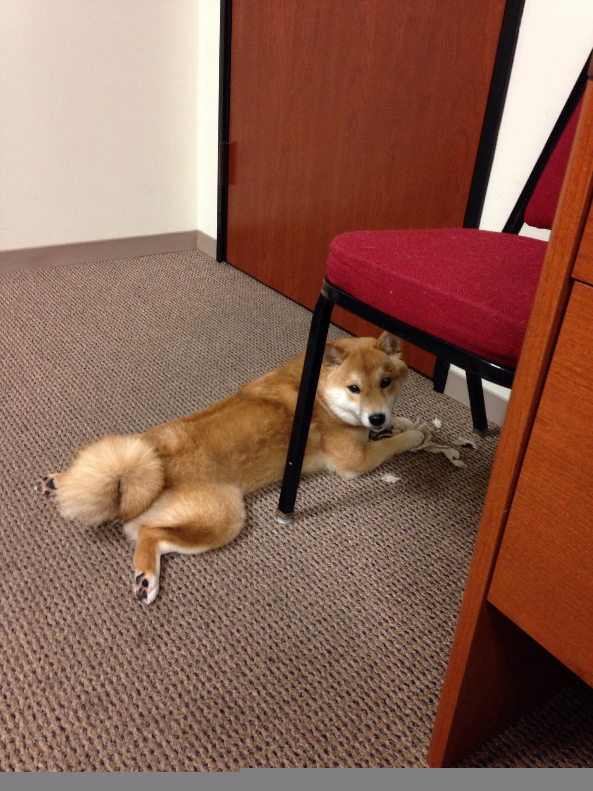 东亚杯中国青年队战败 球迷呼吁心理建设，东亚杯中国夺冠