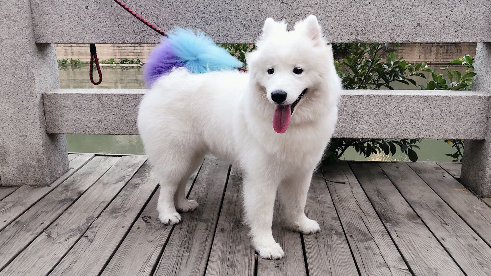 leyu乐鱼-中国三人篮球女队整体战斗力提升，中国三人篮球女队整体战斗力提升记录