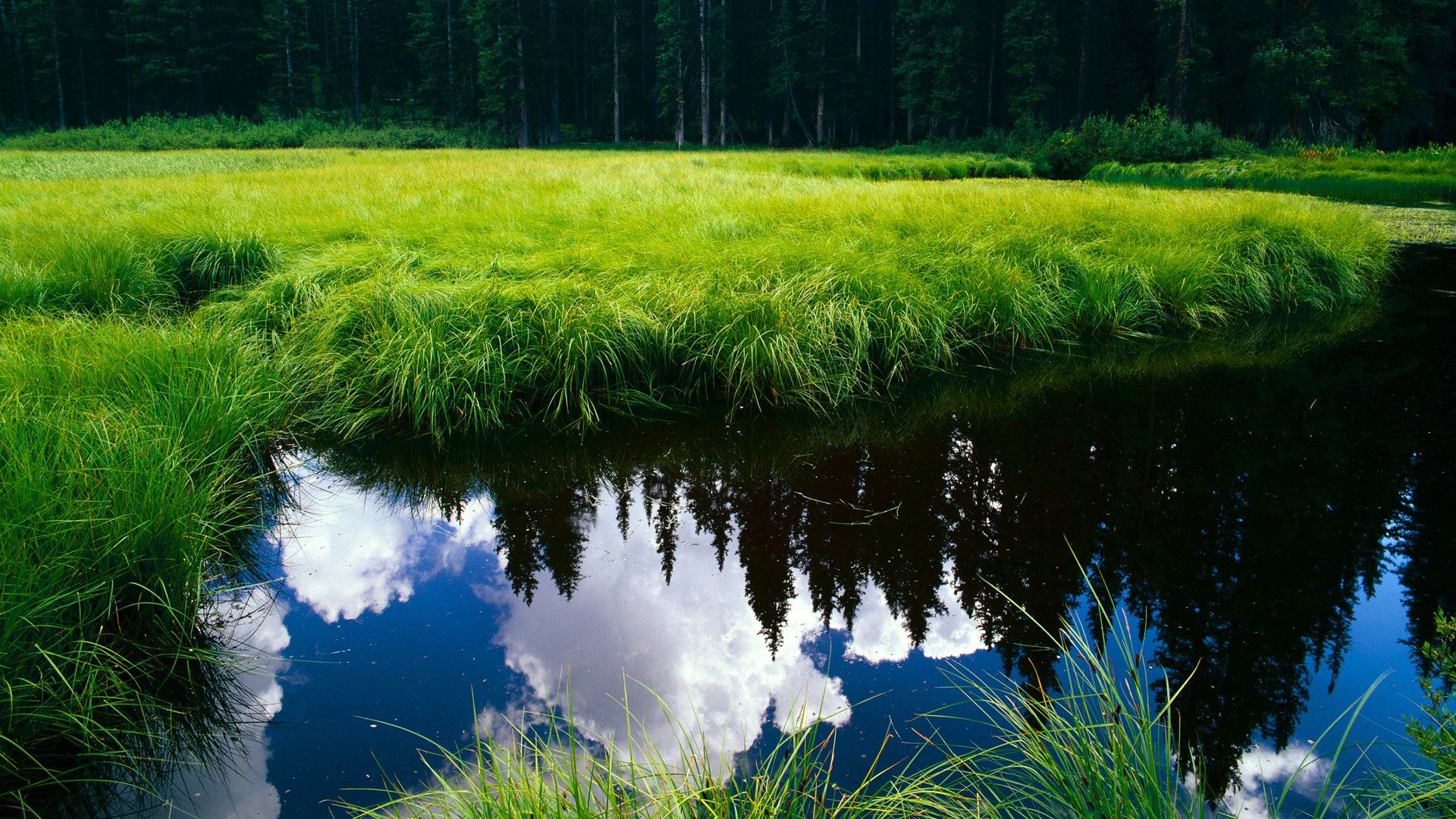 体育新闻中心发布智能穿戴运动数据分析白皮书,智能穿戴现状