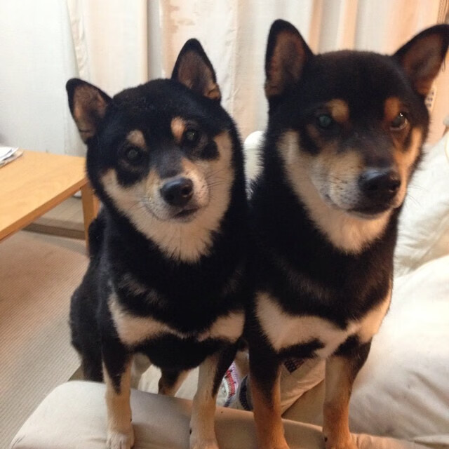 乐鱼官方登录入口-切尔西门将数次关键扑救保卫胜果，切尔西门将是谁