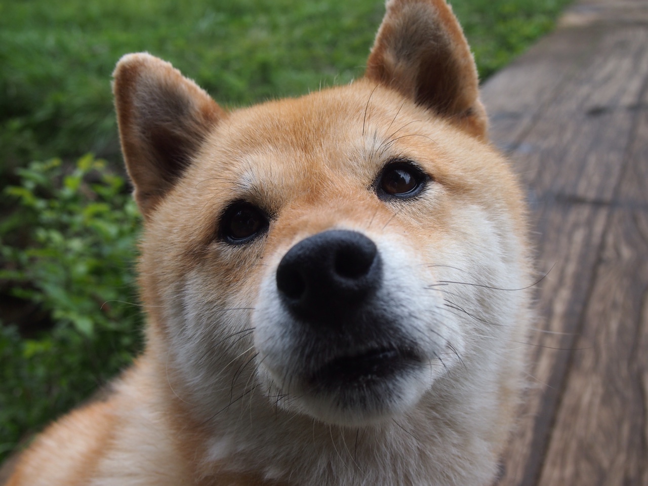 Leyu Sport登录入口-切尔西防守体系成决胜关键因素，切尔西防守怎么这么强