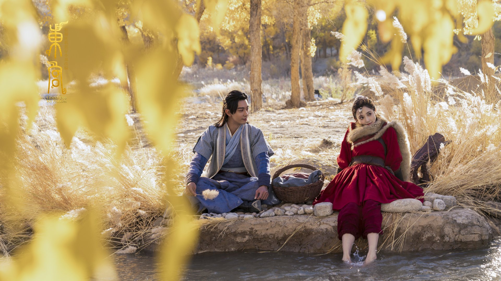 女子接力四人四风格 闪耀泳池,女子接力4乘100米视频游泳