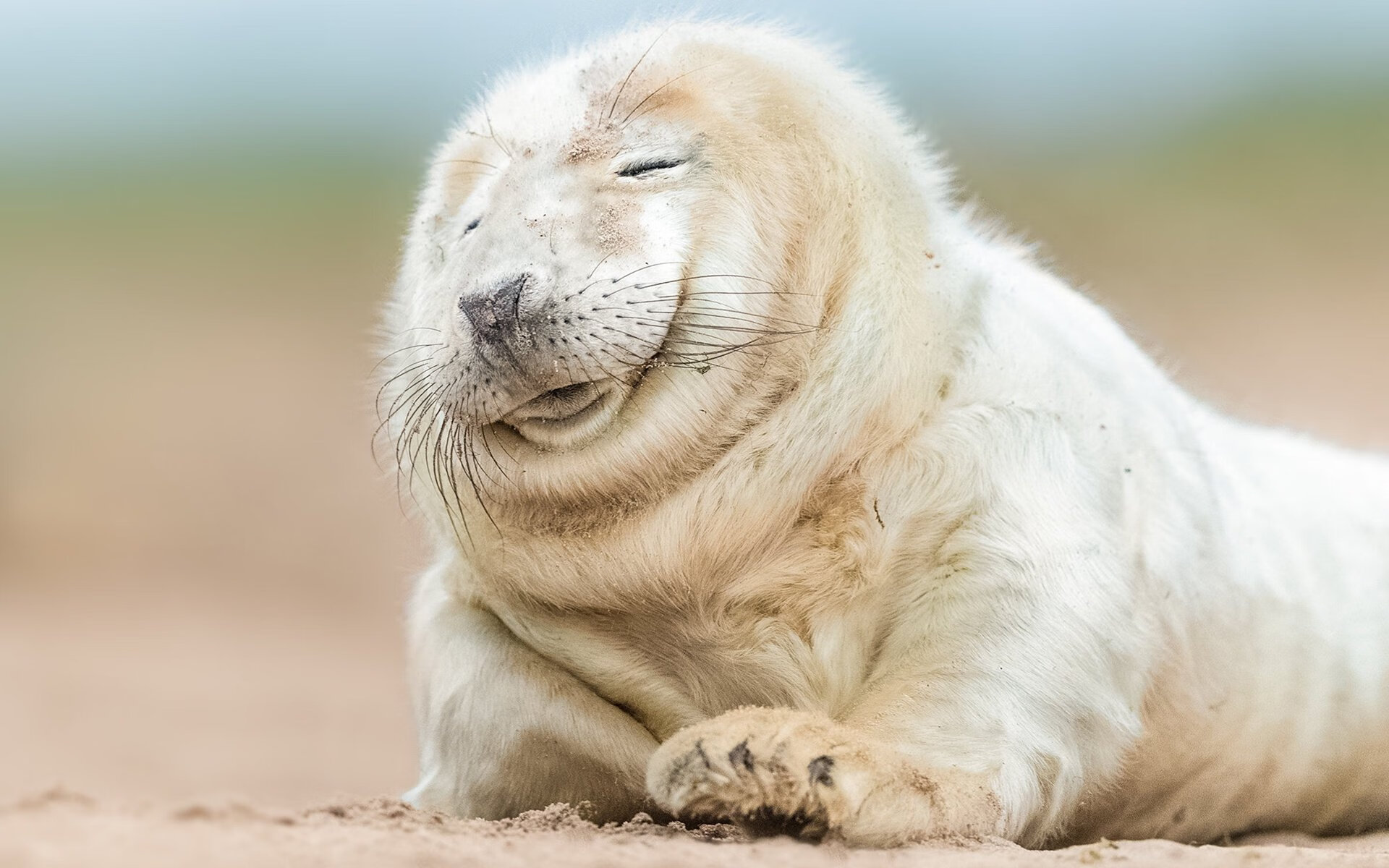 波兰队未来发展:如何通过现代化训练手段提升体能水平,波兰队阵型