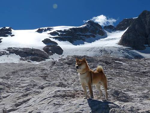 球员如何在节奏推进中发现防守盲点,球员如何在节奏推进中发现防守盲点的方法