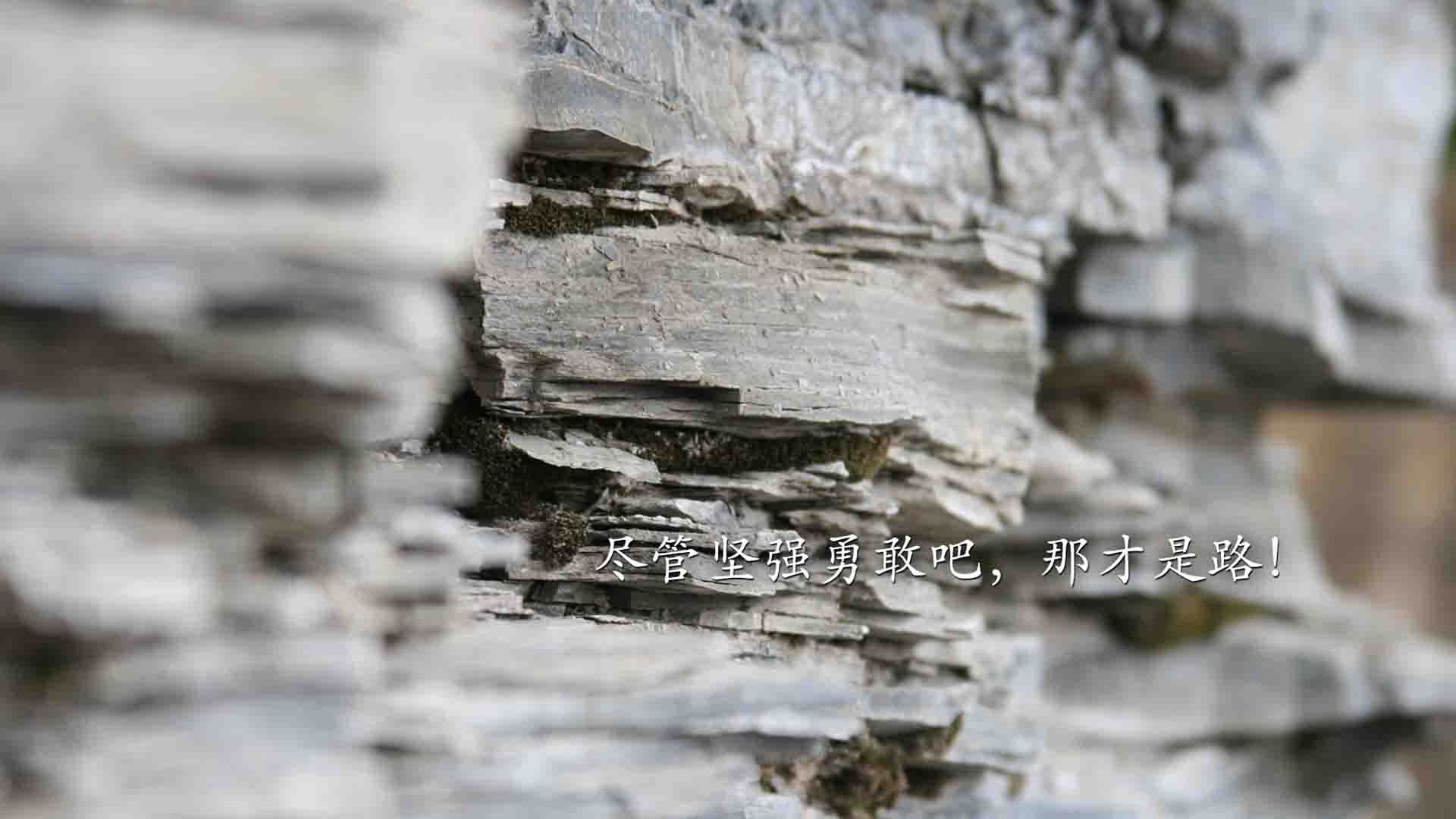 职业联赛品牌建设未形成文化认同感,职业联赛标志