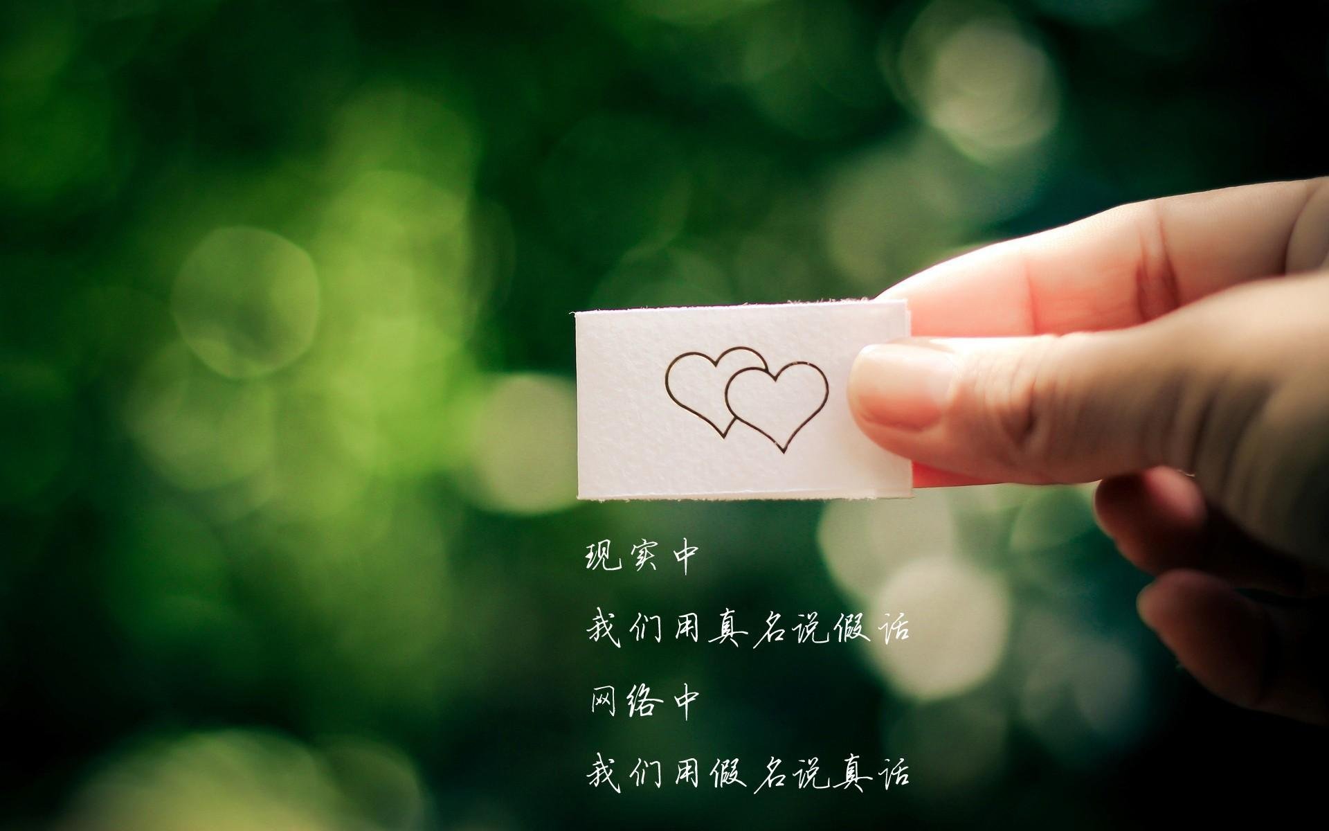 APP下载 LY Sports-欧洲杯精彩纷呈：战术多变，精彩不断！，欧洲杯精彩程度