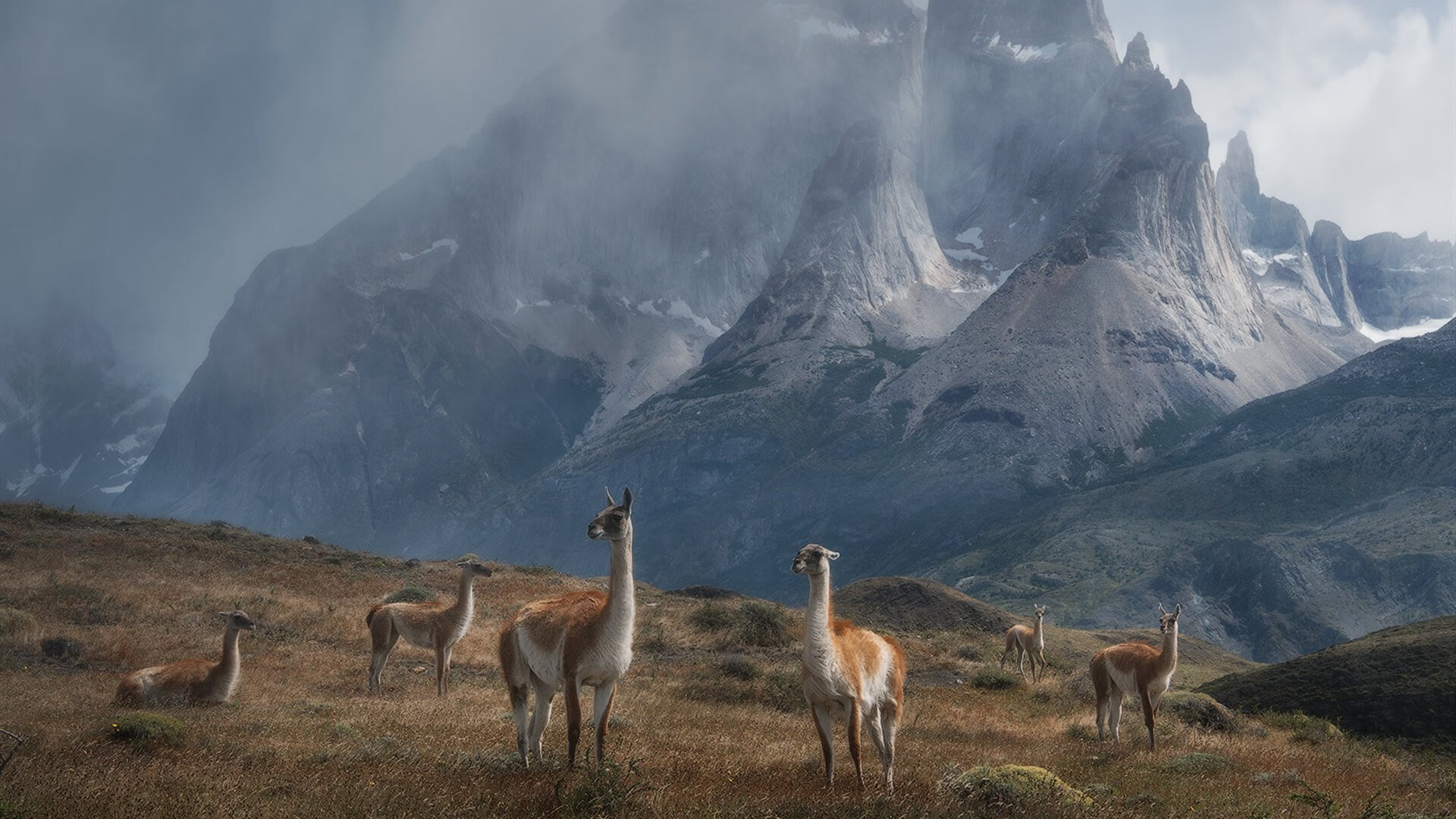 乐鱼体育App下载-火箭封闭集训加入模拟裁判提升比赛节奏感，火箭试训中锋
