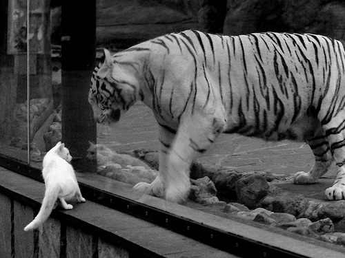 篮网主打挡拆创造大量空位得分机会,篮网如何