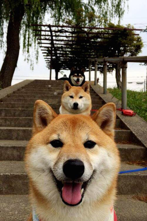 青训基地将举办跨专业交流会促进多学科融合成长，青训营条件