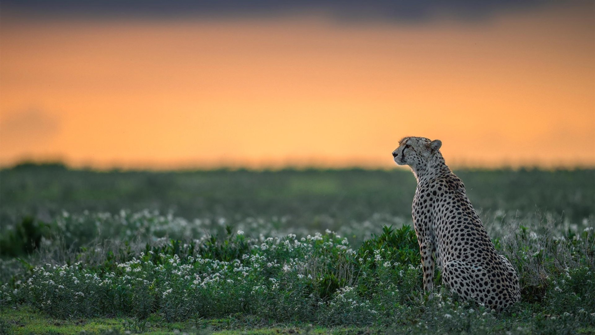 乐鱼娱乐app-高校篮球启动复合型人才培养机制融合多领域知识，校企篮球训练合作方案